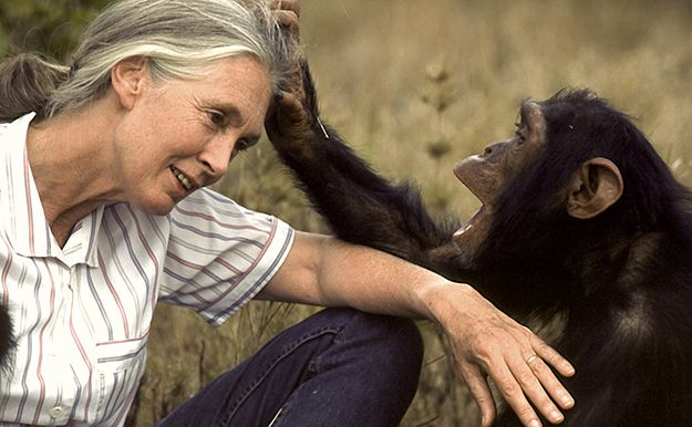 Fark Yaratan Bir Kadının Hikayesi: Jane Goodall